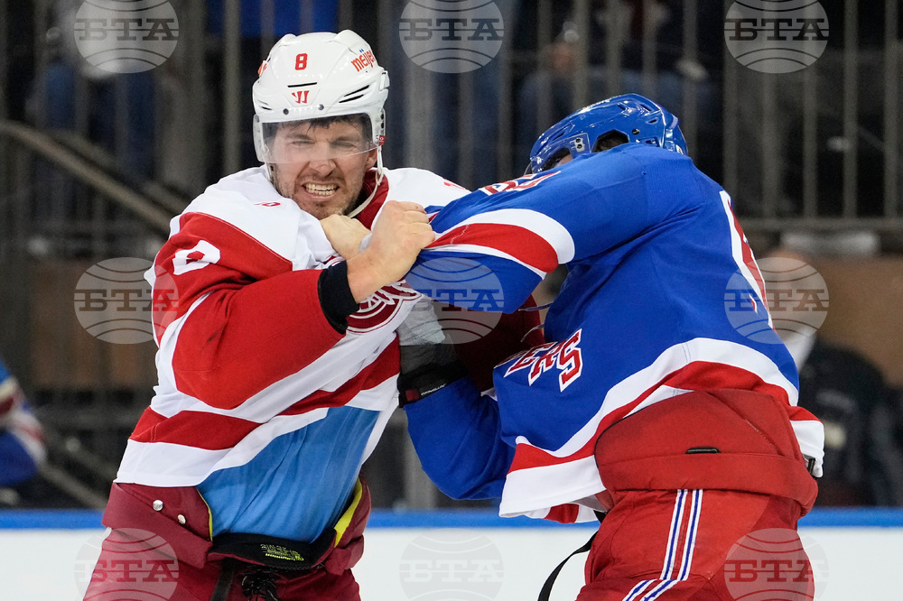 Red Wings Rangers Hockey