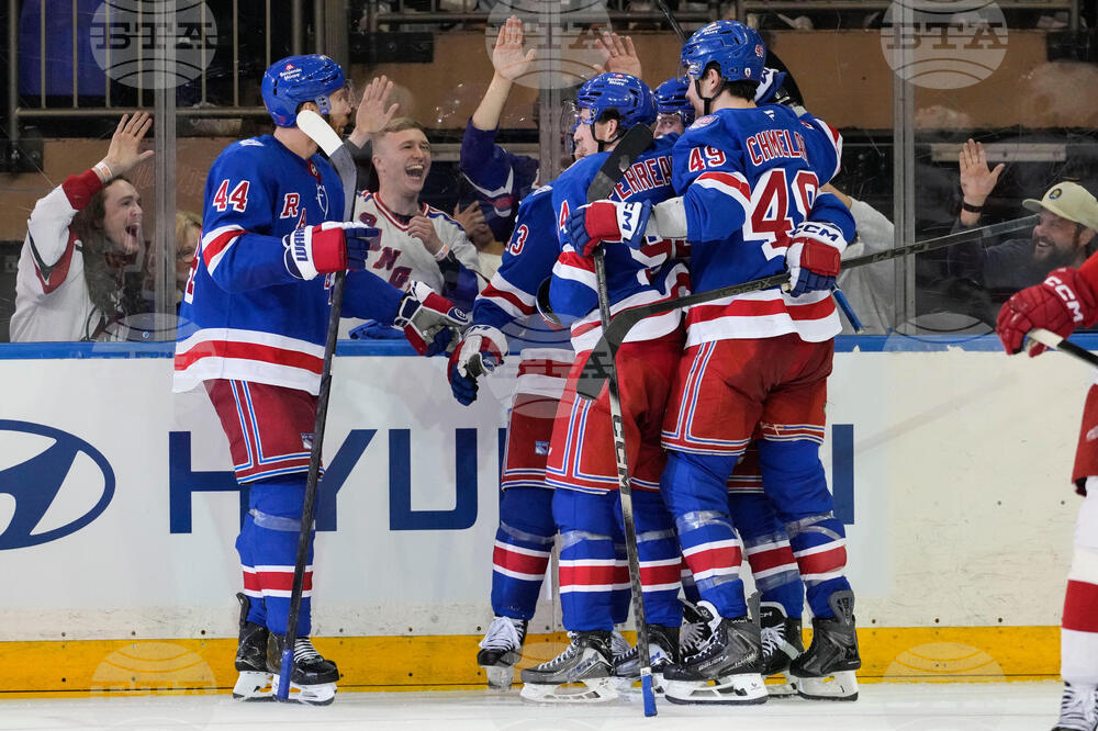 Red Wings Rangers Hockey