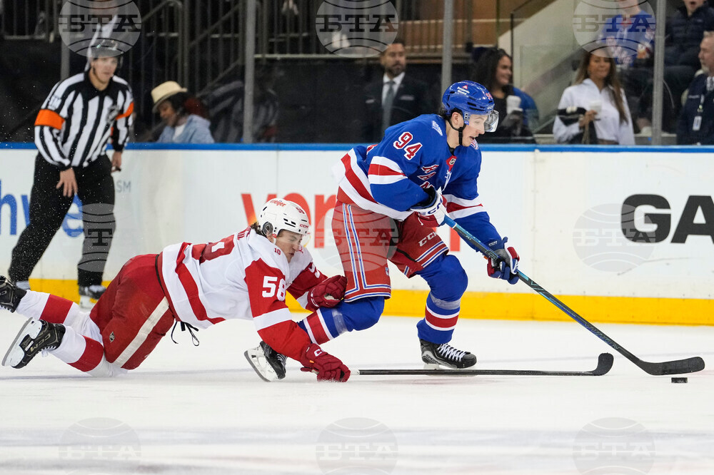 Red Wings Rangers Hockey