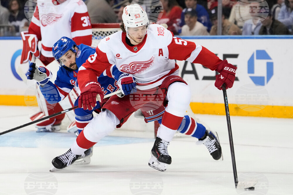 Red Wings Rangers Hockey
