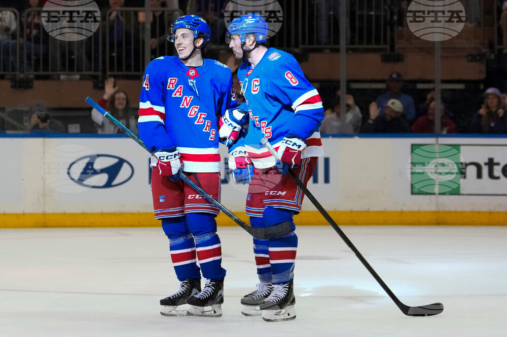 Red Wings Rangers Hockey