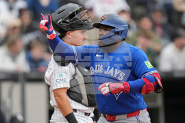 Blue Jays White Sox Baseball
