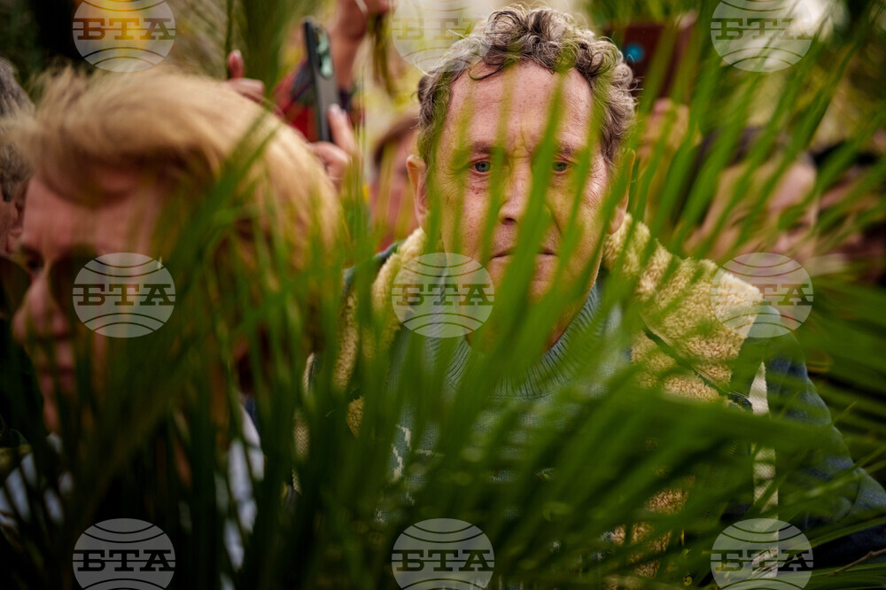 Romania Orthodox Palm Sunday