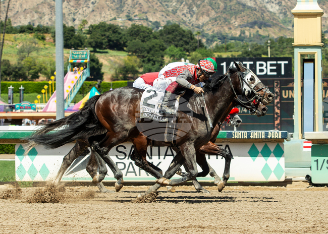 Santa Anita Horse Racing