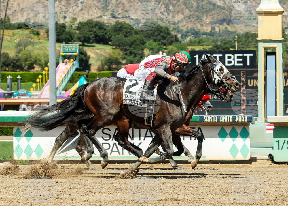 Santa Anita Horse Racing