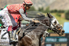 Santa Anita Horse Racing