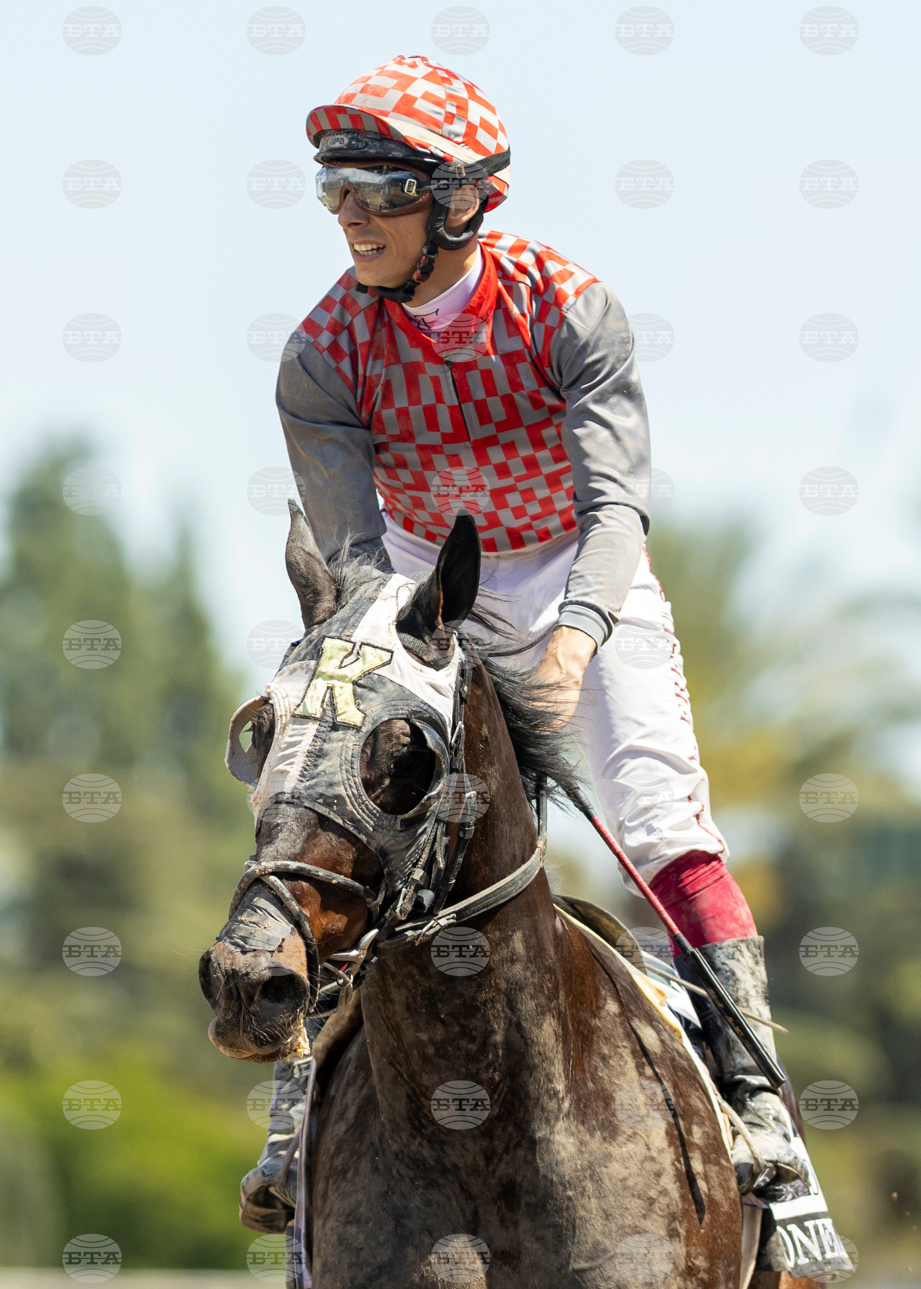 Santa Anita Horse Racing