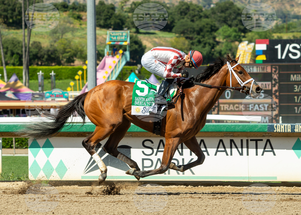 Santa Anita Horse Racing