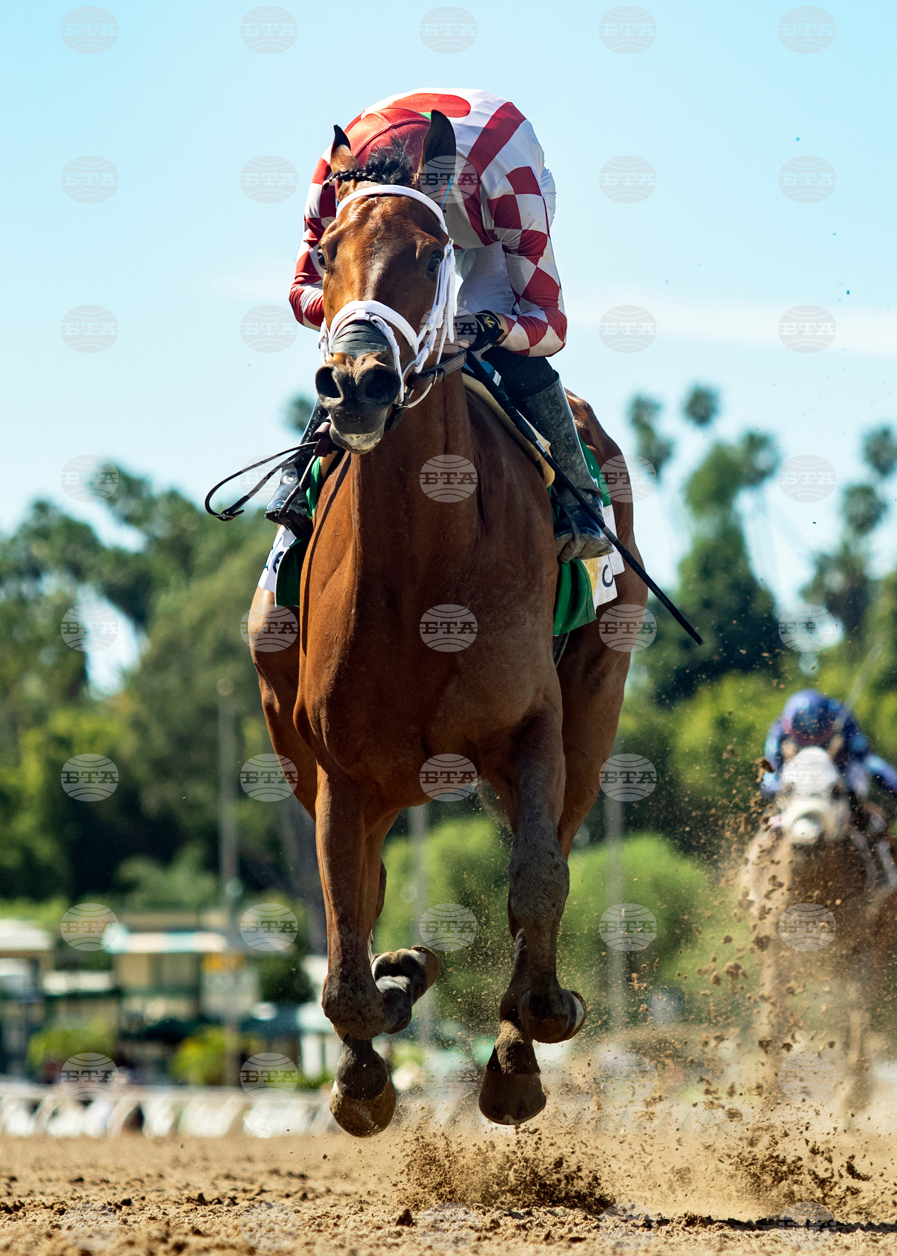 Santa Anita Horse Racing