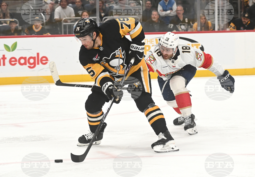 Panthers Penguins Hockey
