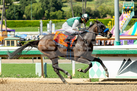 Santa Anita Horse Racing