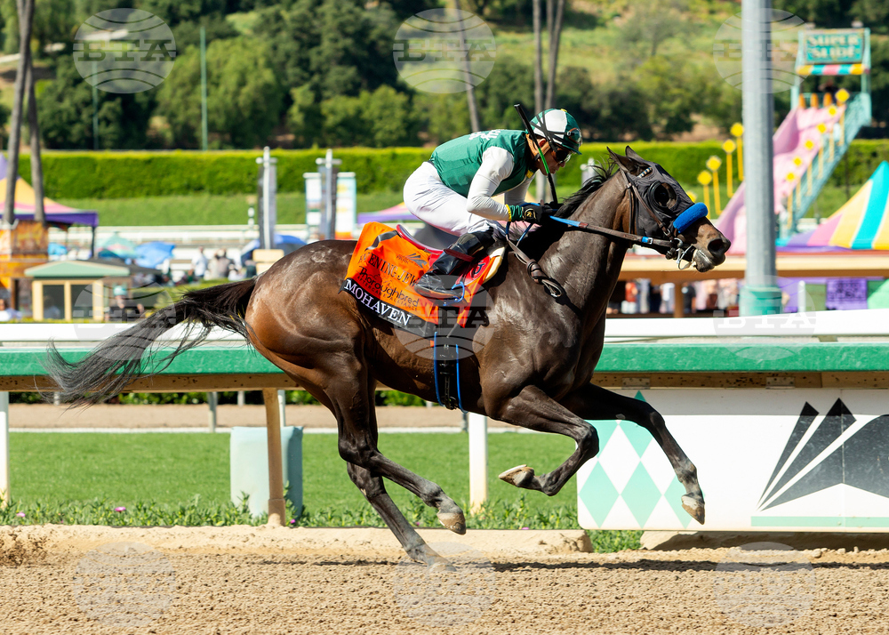 Santa Anita Horse Racing