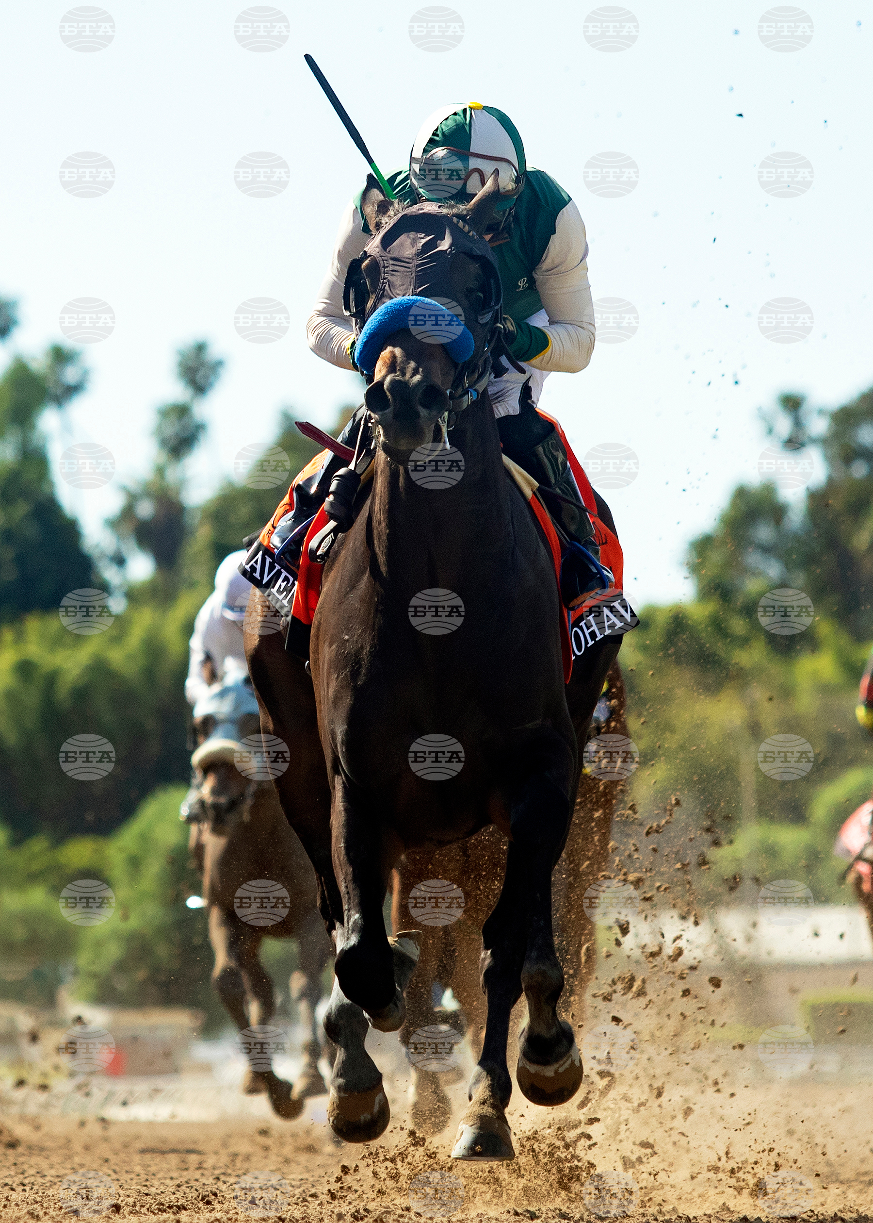 Santa Anita Horse Racing