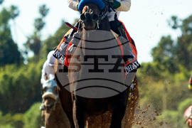 Santa Anita Horse Racing