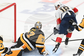 Panthers Penguins Hockey