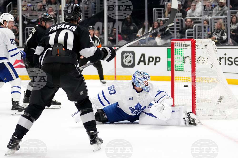 Maple Leaves Kings Hockey