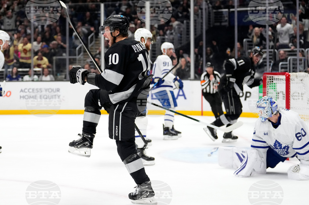 Maple Leaves Kings Hockey