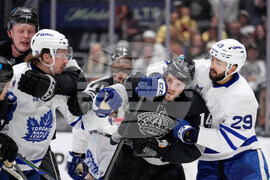 Maple Leaves Kings Hockey