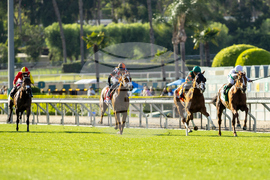 Santa Anita Horse Racing
