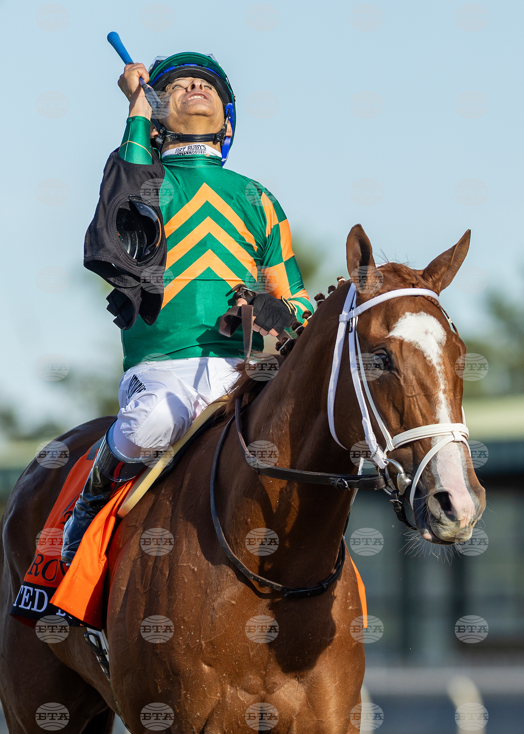 Santa Anita Horse Racing