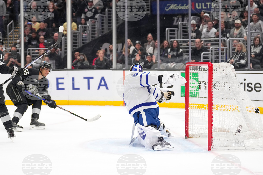 Maple Leaves Kings Hockey