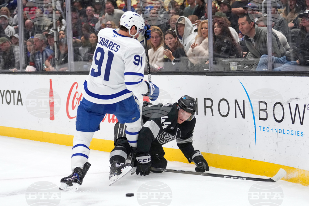 Maple Leaves Kings Hockey