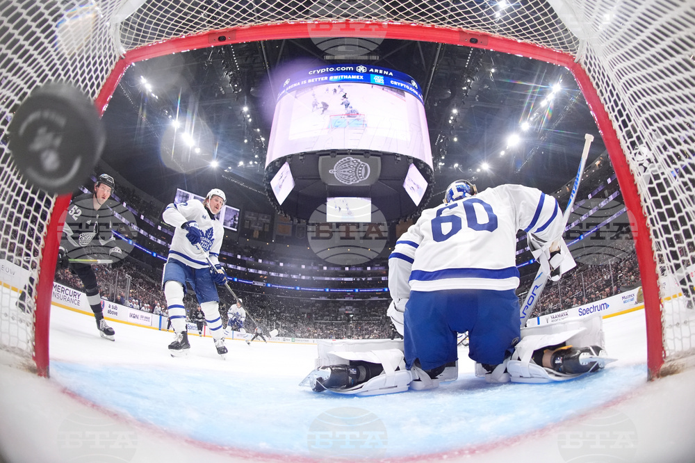 Maple Leaves Kings Hockey