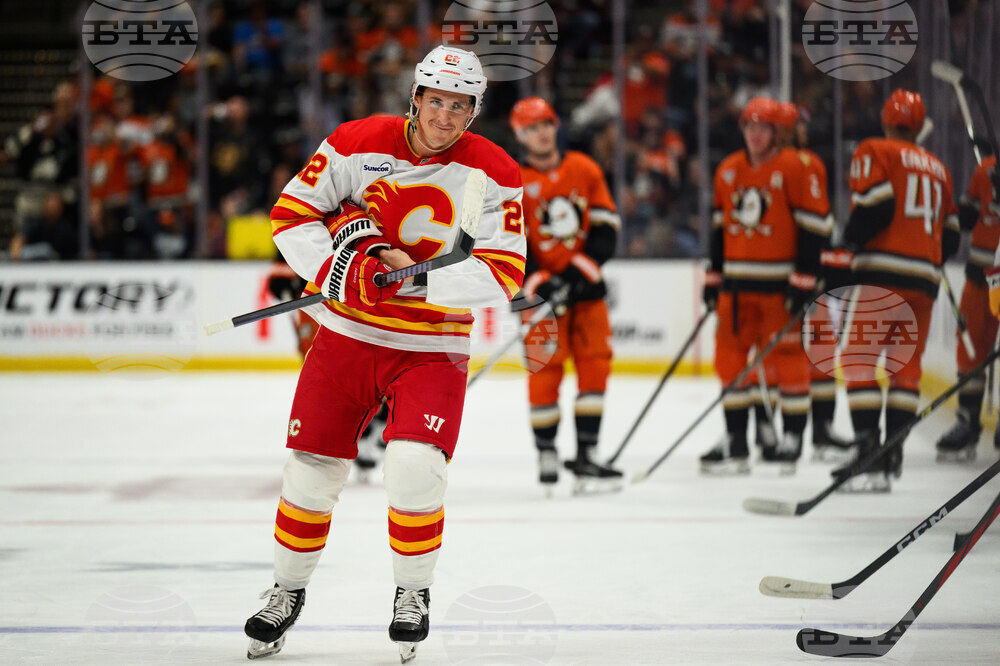 Flames Ducks Hockey