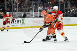 Flames Ducks Hockey