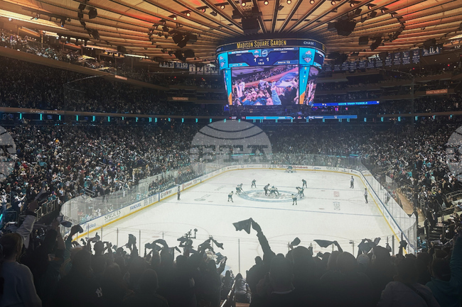 PWHL Attendance Record Hockey