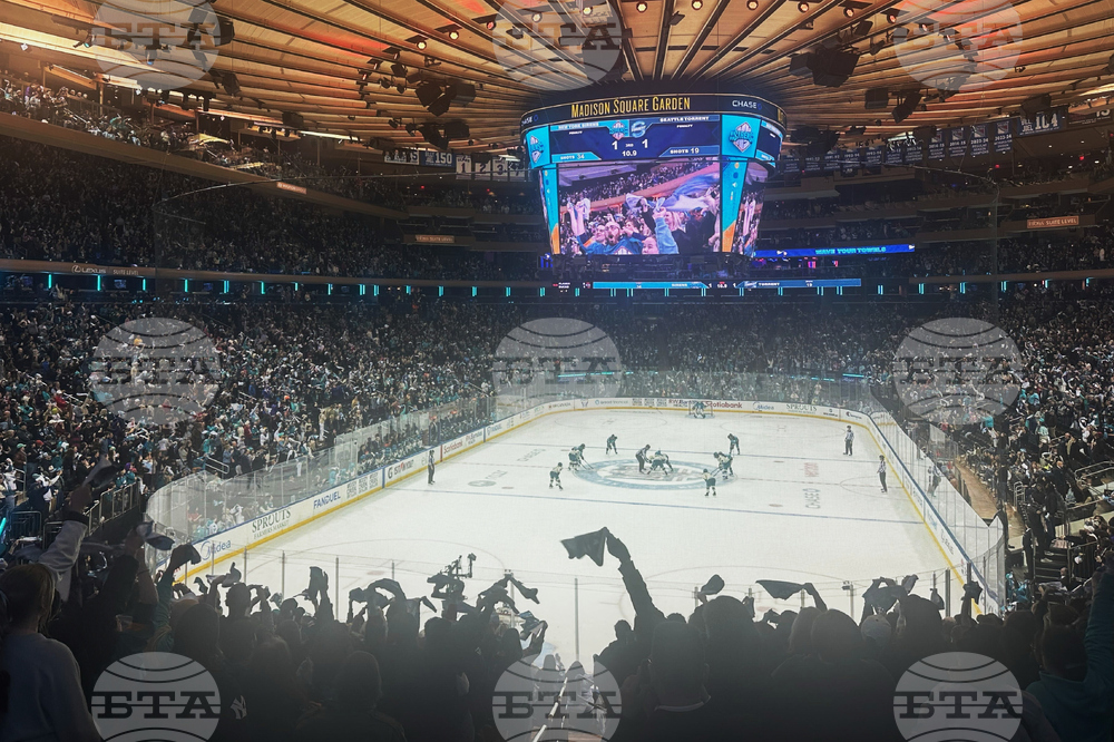 PWHL Attendance Record Hockey