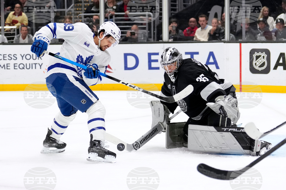 Maple Leafs Kings Hockey
