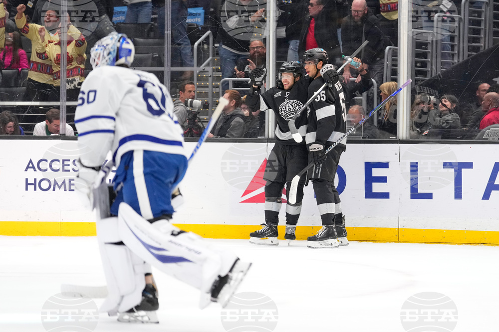 Maple Leafs Kings Hockey