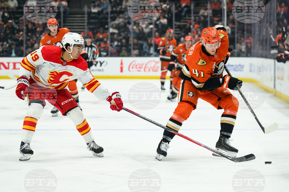 Flames Ducks Hockey