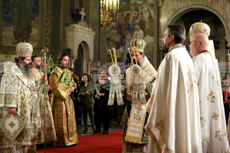 On Palm Sunday, Bulgarian Patriarch Daniil Calls on People to Approach Life In Faith