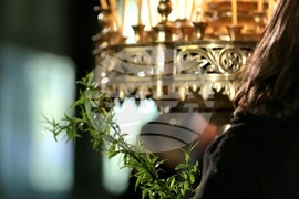 Цветница - Патриарх Даниил - литургия