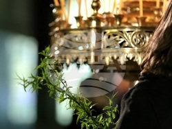 Цветница - Патриарх Даниил - литургия