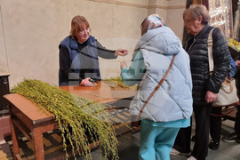 Варна - Цветница - Архиерейска света литургия