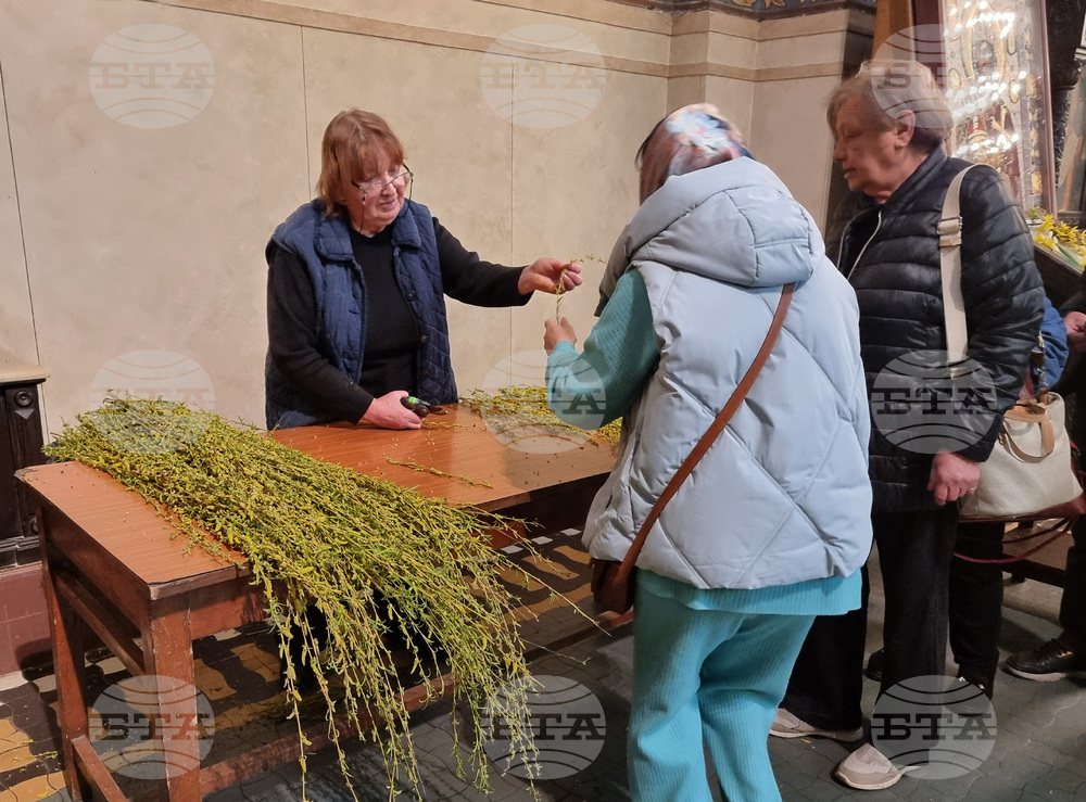 Варна - Цветница - Архиерейска света литургия