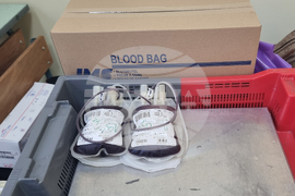 Плевен - кръводаряване - акция