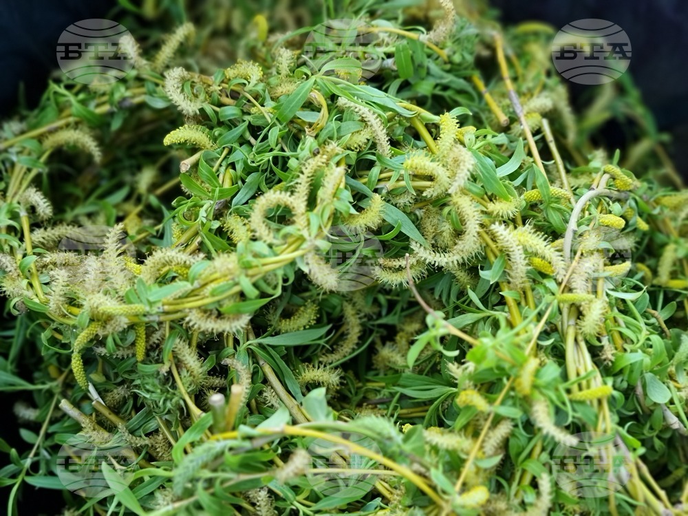 Ямбол - благотворителен базар - ремонт на храм