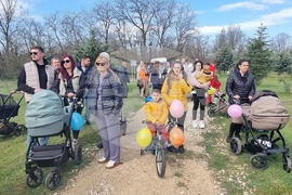 Димитровград - фиданки - Алея на новия живот