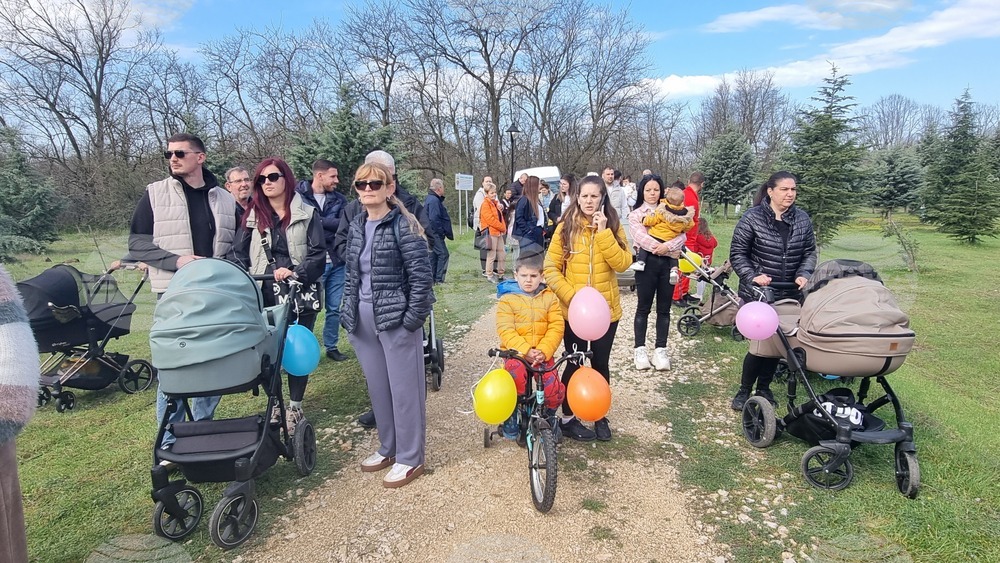 Димитровград - фиданки - Алея на новия живот