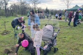 Димитровград - фиданки - Алея на новия живот