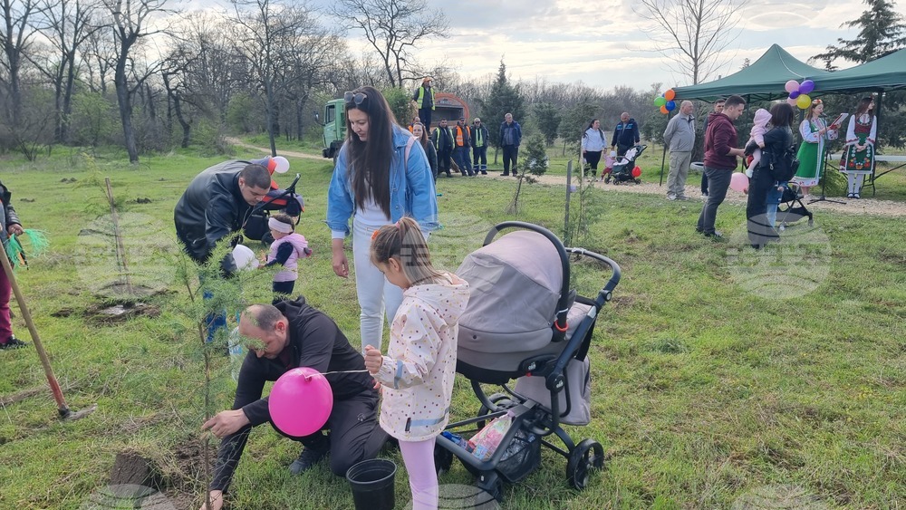 Димитровград - фиданки - Алея на новия живот