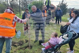 Димитровград - фиданки - Алея на новия живот