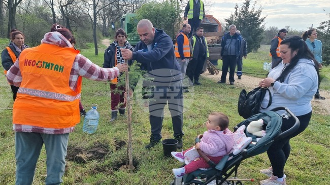 Димитровград - фиданки - Алея на новия живот