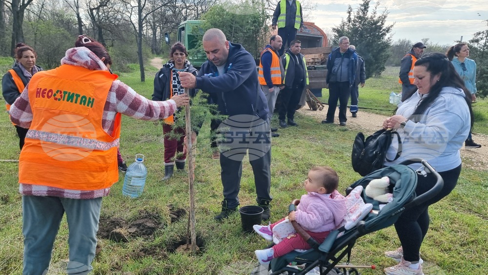 Димитровград - фиданки - Алея на новия живот