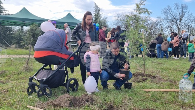 Родители на 81 деца от Димитровград засадиха фиданки с техните имена в инициативата "Алея на новия живот"
