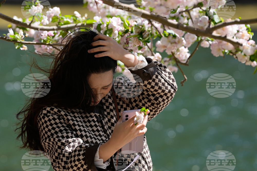 China Wild Winds